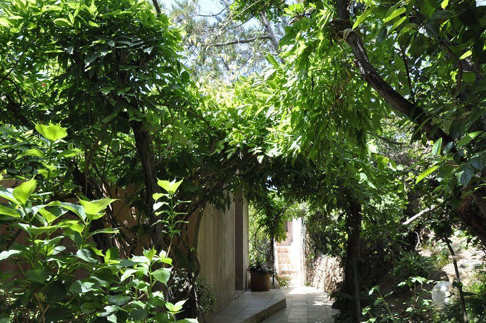 Private Hôtel Porto-Vecchio  Ngoại thất bức ảnh