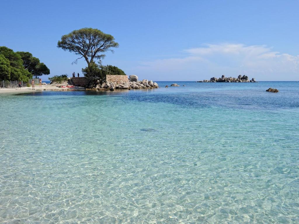 Private Hôtel Porto-Vecchio  Ngoại thất bức ảnh