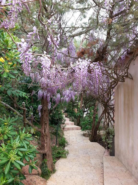 Private Hôtel Porto-Vecchio  Phòng bức ảnh